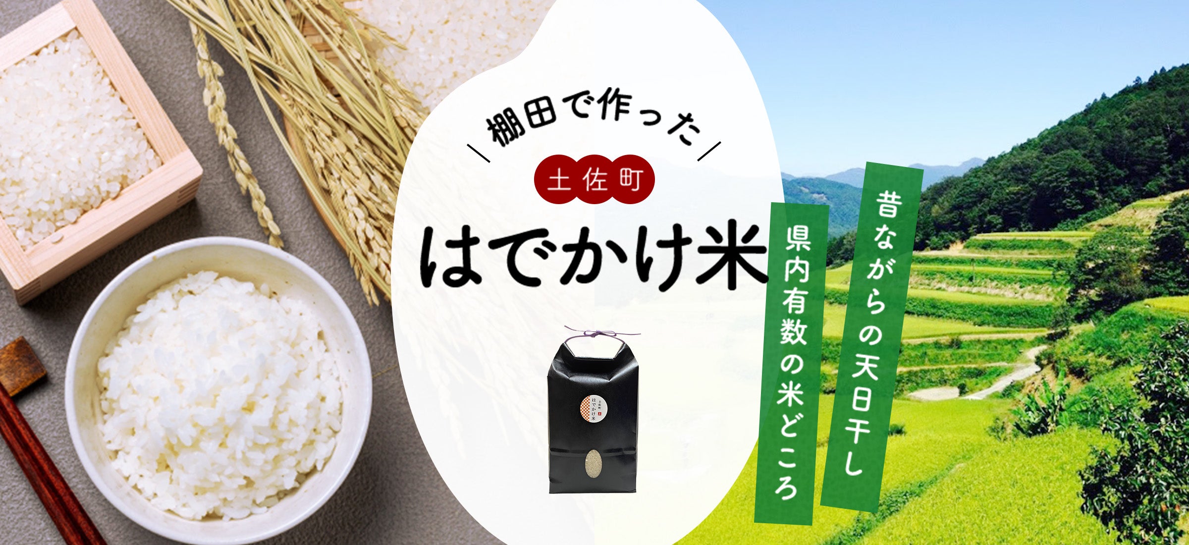 土佐あかうしの里 道の駅土佐さめうらオンラインショップ – 土佐さめうら観光協会